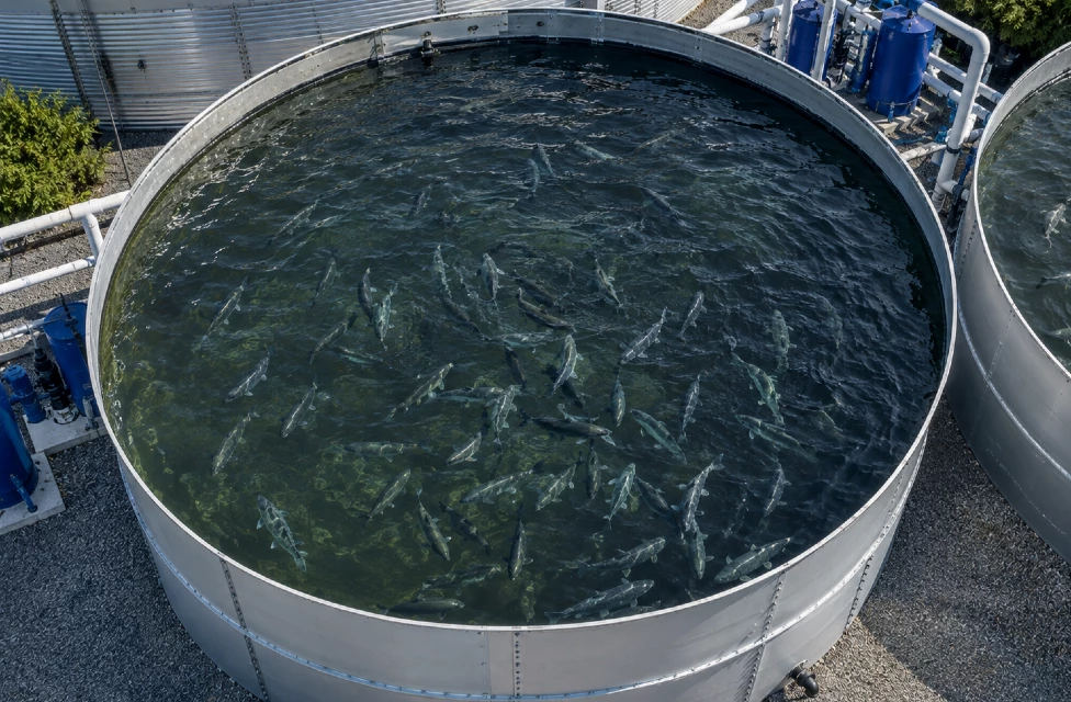 bassin-pisciculture-reservoir-metallique-apro-industrie