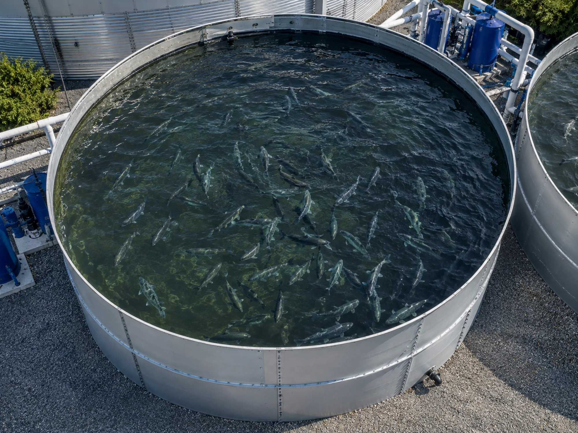 bassin-pisciculture-reservoir-metallique-apro-industrie